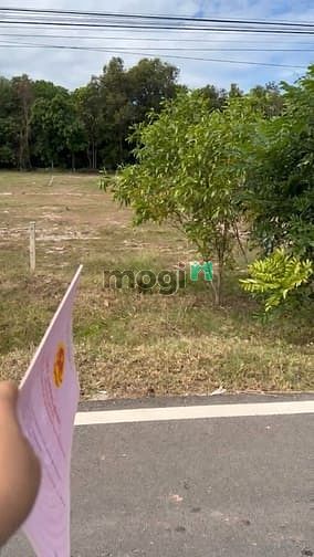 Hình ảnh Sở Hữu Ngay Đất Mặt Tiền Đt795, Tân Châu, Tây Ninh Cơ Hội Sinh Lời Cao