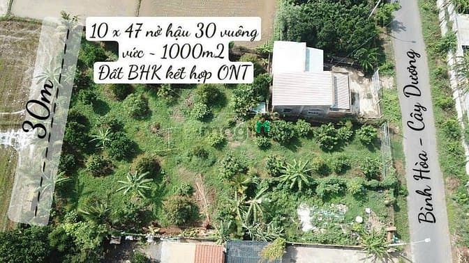 Hình ảnh Bán 1000m2 MT Bình Hoà - Cây Dương giá 5,2 tỷ SHR view sông Đồng Nai