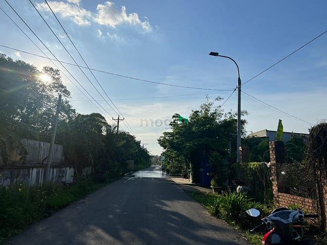 Hình ảnh Bán 1000m2 MT Bình Hoà - Cây Dương giá 5,2 tỷ SHR view sông Đồng Nai