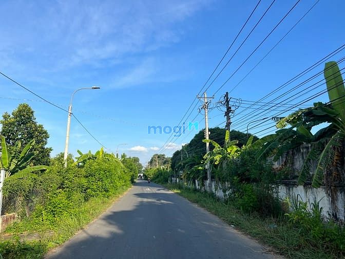 Hình ảnh Bán 1000m2 MT Bình Hoà - Cây Dương giá 5,2 tỷ SHR view sông Đồng Nai