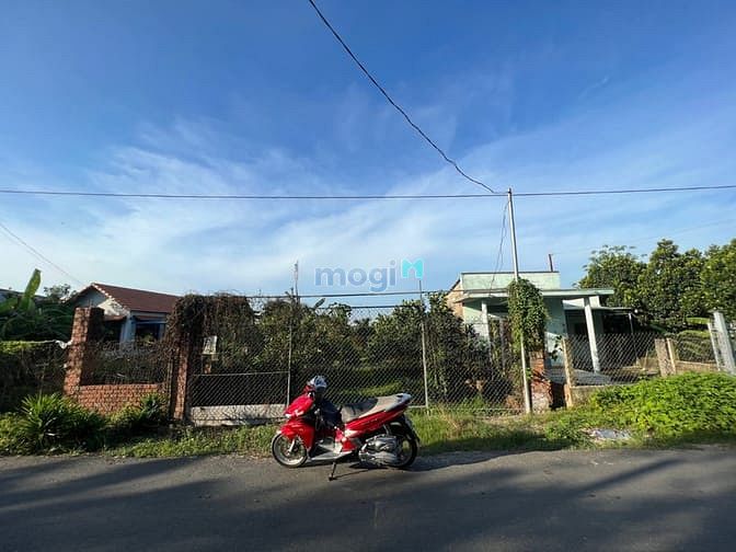 Hình ảnh Bán 1000m2 MT Bình Hoà - Cây Dương giá 5,2 tỷ SHR view sông Đồng Nai
