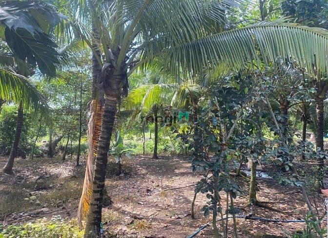 Hình ảnh Bán đất 4500m² – Định Quán, giá siêu hấp dẫn 1 tỷ 7