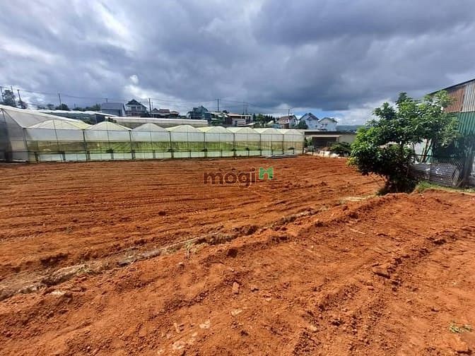 Hình ảnh CẦN TIỀN XOAY CV GIẢM MẠNH 2 TỶ 5 Cần bán gấp lô đất chuyển full XD