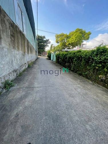 Hình ảnh Bán Đất Hóc Môn Giá 2 Tỷ 750 – Đất 1/ Huỳnh Thị Mài Tân Hiệp – Sổ Riên