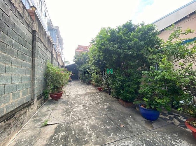 Hình ảnh Bán Đất + Nhà 3 Tầng Mặt Tiền Lý Tế Xuyên, Sát Bên UBND Phường
