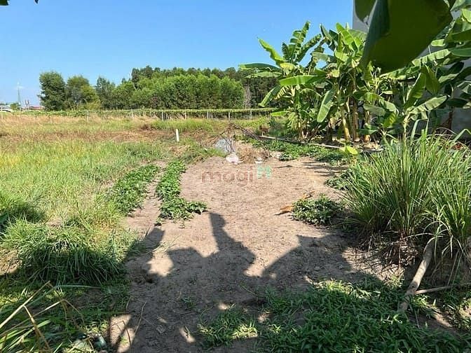 Hình ảnh Bán gấp đất thổ nhà vườn Nhơn Trạch giá rẻ 2,8tr/m.MT đường nhựa, SHR