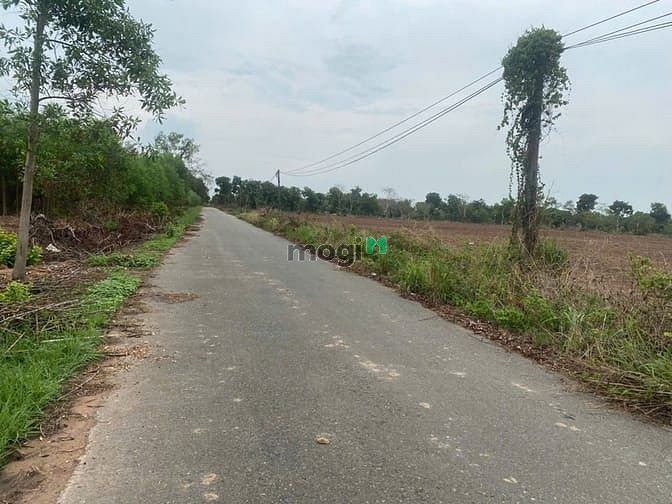 Hình ảnh Bán gấp đất thổ nhà vườn Nhơn Trạch giá rẻ 2,8tr/m.MT đường nhựa, SHR