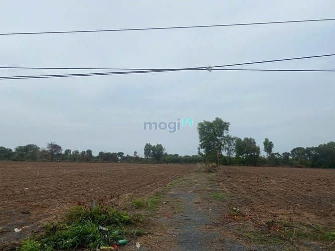 Hình ảnh Bán gấp đất thổ nhà vườn Nhơn Trạch giá rẻ 2,8tr/m.MT đường nhựa, SHR