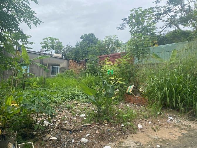 Hình ảnh Bán đất 80m² đường 26 Long Thạnh Mỹ Q9 – Sổ hồng – Giá Chỉ 3,8 tỷ