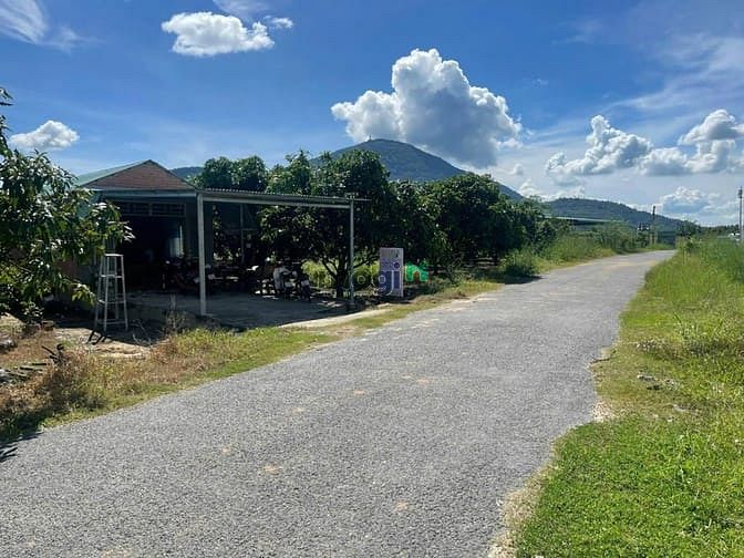 Hình ảnh Bán đất Mặt Tiền, View Núi gần Chợ, Chỉ 590tr, Thạnh Tân-Tây Ninh