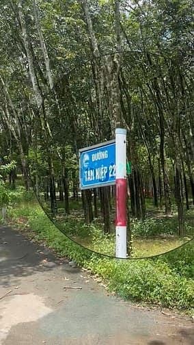 Hình ảnh Bán Nhanh Lô Góc 2MT – Sổ Sẵn – Tân Hiệp 22, DT 271m2 Chỉ 750 Triệu