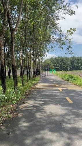 Hình ảnh Bán Nhanh Lô Góc 2MT – Sổ Sẵn – Tân Hiệp 22, DT 271m2 Chỉ 750 Triệu