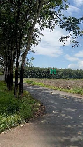 Hình ảnh Bán Nhanh Lô Góc 2MT – Sổ Sẵn – Tân Hiệp 22, DT 271m2 Chỉ 750 Triệu