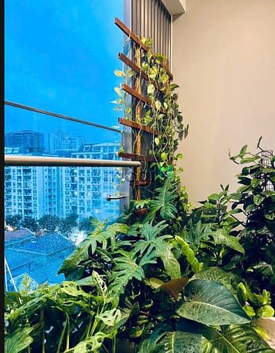 Hình ảnh Cho thuê Trang Chủ MB66.COM / Đăng Ký Tặng 66K chung cư cao cấp Midtown M7 - Phú Mỹ Hưng-TP.HCM