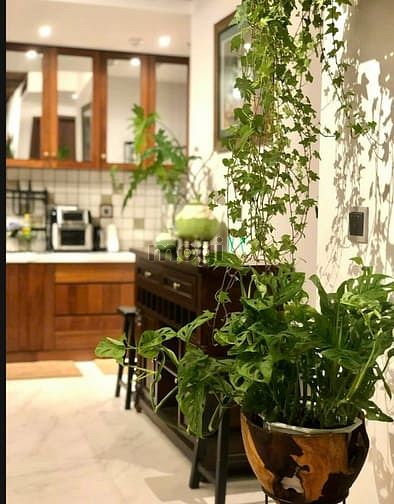 Hình ảnh Cho thuê Trang Chủ MB66.COM / Đăng Ký Tặng 66K chung cư cao cấp Midtown M7 - Phú Mỹ Hưng-TP.HCM