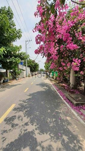Hình ảnh Hóc Môn, Biệt Thự Vườn Dương Công Khi, DT 16 x 23m 350m2 thổ cư