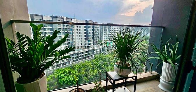 Hình ảnh Cho thuê 2PN, 85m2, giá 21tr, full NT + ô xe hơi, Diamond Celadon city