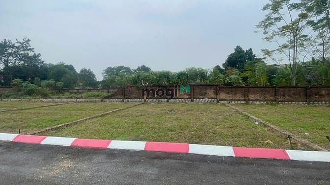 Hình ảnh Dự án 14 lô đất nền Trại Hồ, Cổ Đông, sát Hòa Lạc, chỉ từ 28tr/m2