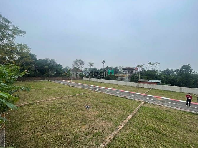 Hình ảnh Dự án 14 lô đất nền Trại Hồ, Cổ Đông, sát Hòa Lạc, chỉ từ 28tr/m2