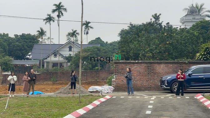 Hình ảnh Dự án 14 lô đất nền Trại Hồ, Cổ Đông, sát Hòa Lạc, chỉ từ 28tr/m2