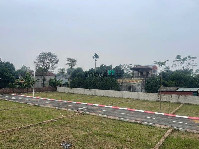 Hình ảnh Dự án 14 lô đất nền Trại Hồ, Cổ Đông, sát Hòa Lạc, chỉ từ 28tr/m2