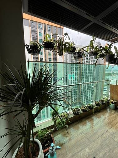 Hình ảnh Cho thuê CH Cao cấp Delasol 3PN ,View sông, nội thất hiện đại: 38tr/th