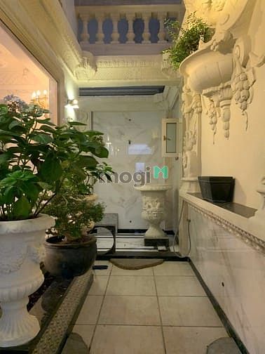 Hình ảnh Vip💃Biệt Thự Tân Cổ Điển MTKD Đ.Số 6 - 10x20m 1 Hầm 4 tầng THANG MÁY