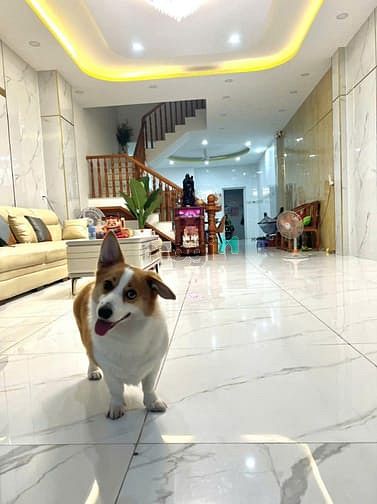 Hình ảnh 🔮💯Nhà đẹp xây mới 100% MT 14m khu Ao Sen 5x20m 4 tầng CÁCH AEON 200m