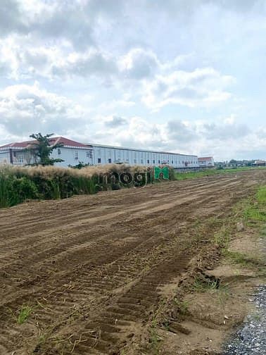 Hình ảnh Đất nền hiếm khu dân cư Cần Giuộc giá chỉ 7,5 triệu/m2.