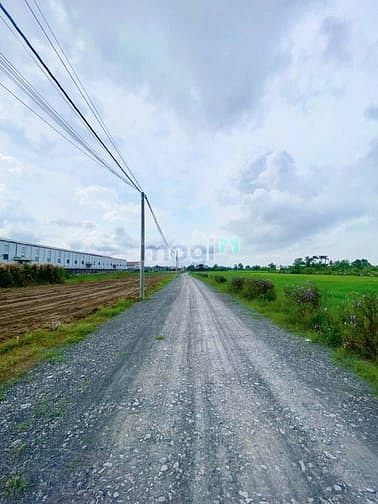 Hình ảnh Đất nền hiếm khu dân cư Cần Giuộc giá chỉ 7,5 triệu/m2.
