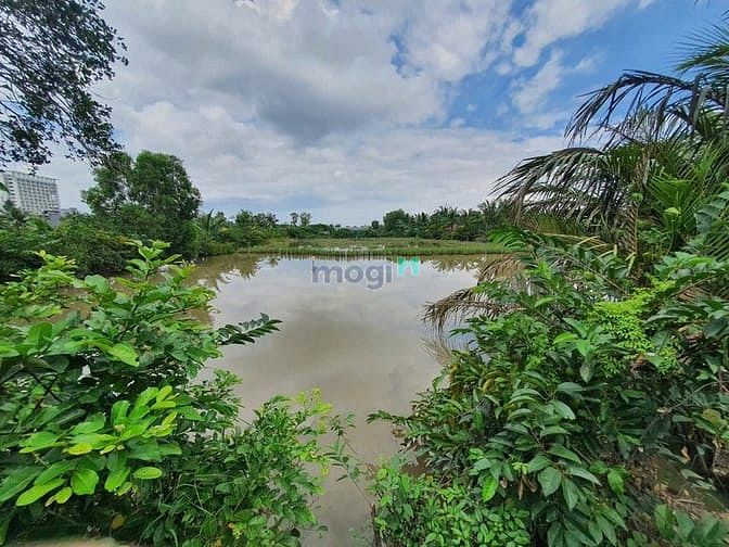 Hình ảnh Tôi Bán đất Bùi xương trạch dt 3221m2 giá 14tr/m