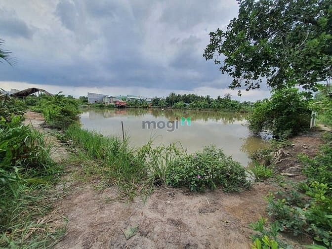 Hình ảnh Tôi Bán đất Bùi xương trạch dt 3221m2 giá 14tr/m