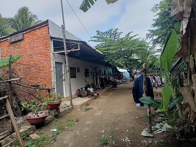 Hình ảnh Bán đất thổ, tặng nhà và đất vườn, đường Nguyễn Văn Trỗi, Long Hưng