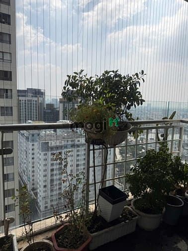 Hình ảnh Duy nhất Gold View bán căn gốc 94M2 2PN 2WC, nội thất gỗ thật, 8 Tỷ