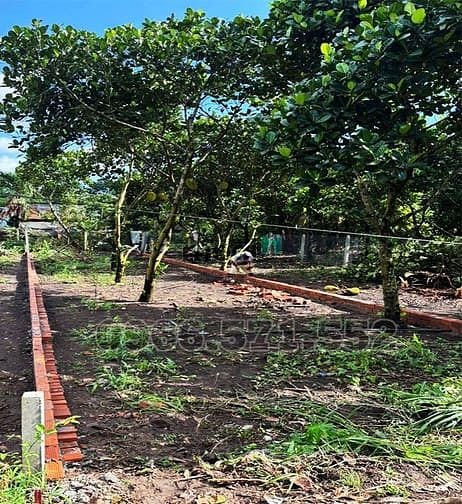 Hình ảnh 5x24 thổ cư, sổ riêng, ngay Dốc Đồn, Hàm Nghi, Giá chỉ 890 triệu