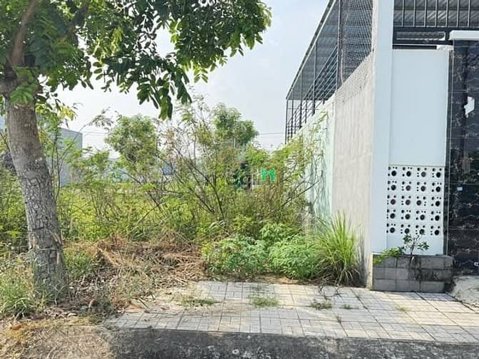Hình ảnh Lô Đất Đẹp - KDC Cát Tường Phú Sinh