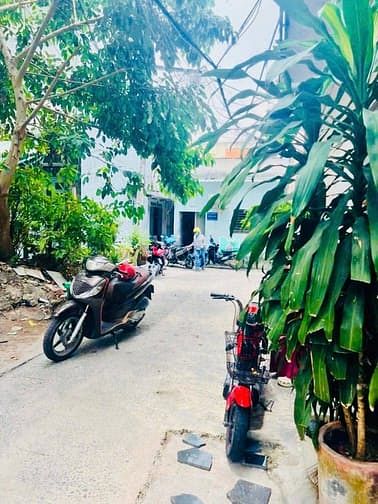 Hình ảnh Bán đất rẻ đẹp (14x20) 618/50 Quang Trung p11 Gò Vấp