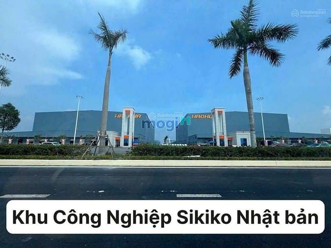 Hình ảnh Cọc 50tr – tặng ngay 20 triệu (trong tháng) 🔥 chỉ 199 triệu – đất