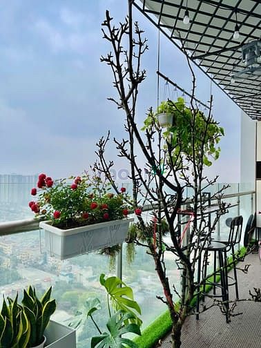 Hình ảnh Chính Chủ Bán CH Golden Park DT 98m 3PN Full NT SĐCC 10 tỷ hướng ĐN