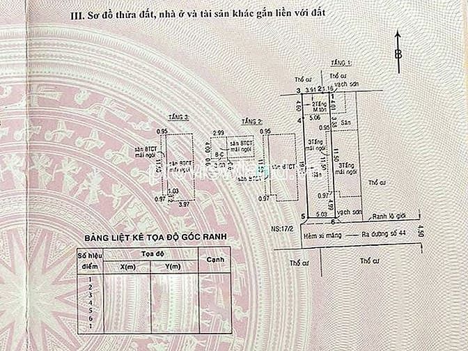 Hình ảnh Bán nhà Trần Văn Sắc Thảo Điền, 10 m x 25 m, quy hoạch 1 hầm + 5 tầng