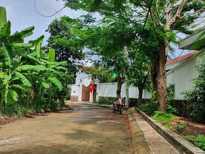 Hình ảnh Bán Đất Hẻm Xe Hơi 7m - 63.3m2 (4.5x14) Full Thổ - Đường Cầu Đình