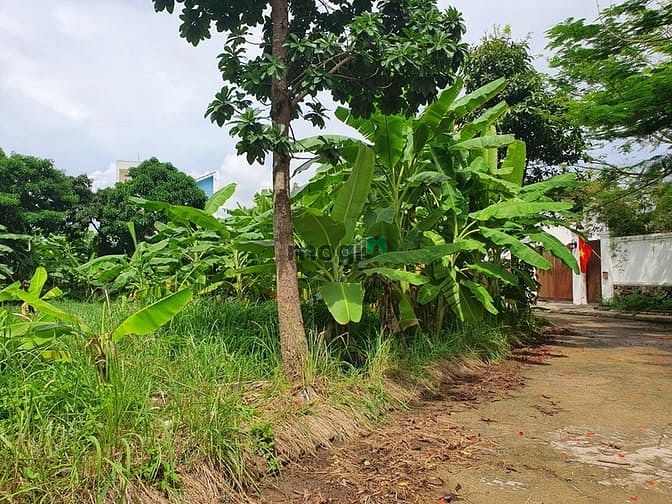 Hình ảnh Bán Đất Hẻm Xe Hơi 7m - 63.3m2 (4.5x14) Full Thổ - Đường Cầu Đình