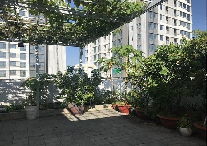 Hình ảnh PENTHOUSE SKY GARDEN 2 – 337m2. 4pn 4wc. Giá 46 triệu/tháng
