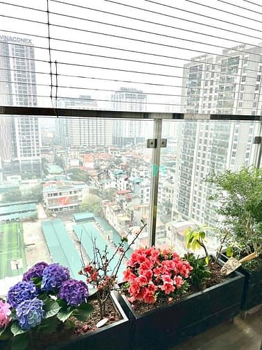 Hình ảnh Bán Gấp CH Imperia Garden 203 Nguyễn Huy Tưởng DT100m 3PN SĐCC 11,8 tỷ