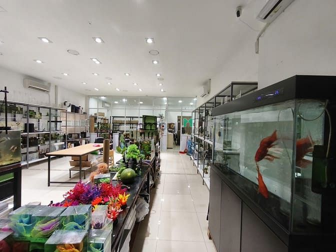 Hình ảnh CHO THUÊ MẶT BẰNG SHOPHOUSE (có ban công, có lầu)