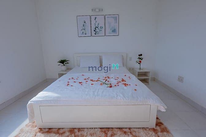 Hình ảnh Cho thuê Trang Chủ MB66.COM / Đăng Ký Tặng 66K dịch vụ thủ dầu một - bình dương