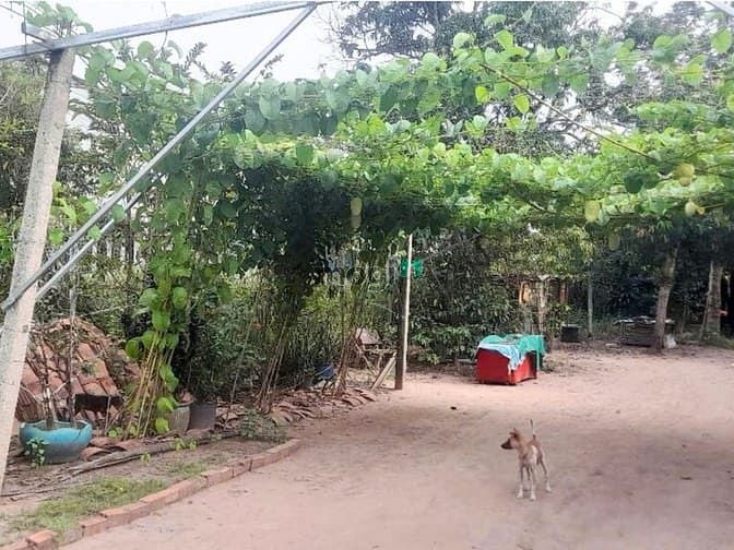 Hình ảnh Đất 600M² Đường 501 Nhuận Đức Củ Chi | Khu Dân Cư | Giá Chỉ 4,5 tỷ