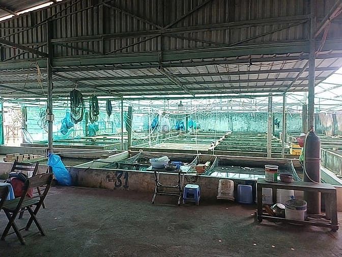 Hình ảnh Chính Chủ Gửi Bán Lô Góc 2 Mặt Tiền Đường Số 29 P.Long Thạnh Mỹ Quận 9