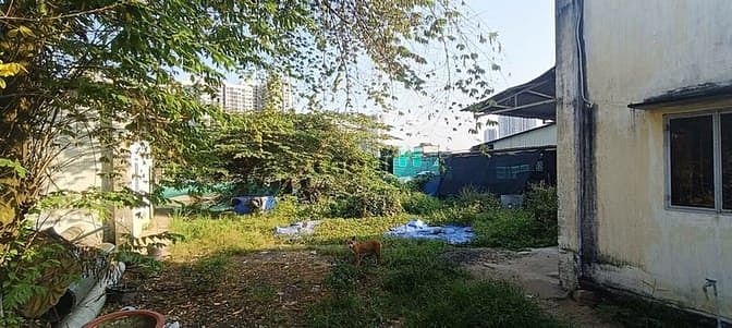 Hình ảnh Chính Chủ Gửi Bán Lô Góc 2 Mặt Tiền Đường Số 29 P.Long Thạnh Mỹ Quận 9