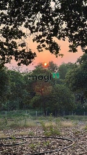 Hình ảnh Đất Thống Nhất - 1100m2 - 995triệu - View hồ Trị An, Đảo Ó